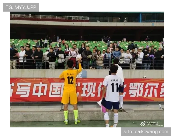 球迷对球员拼搏精神与技术水平期待 成联赛发展动力